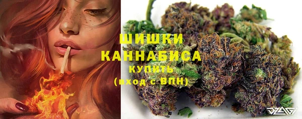 гидропоника Абаза