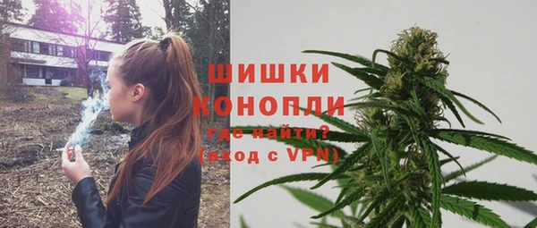 не бодяженный Новозыбков