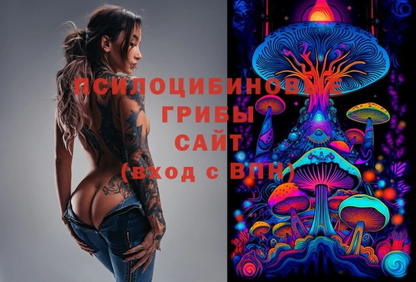 гидропоника Абаза