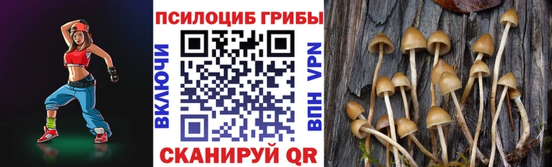 маркетплейс клад Торжок Галлюциногенные грибы Psilocybe